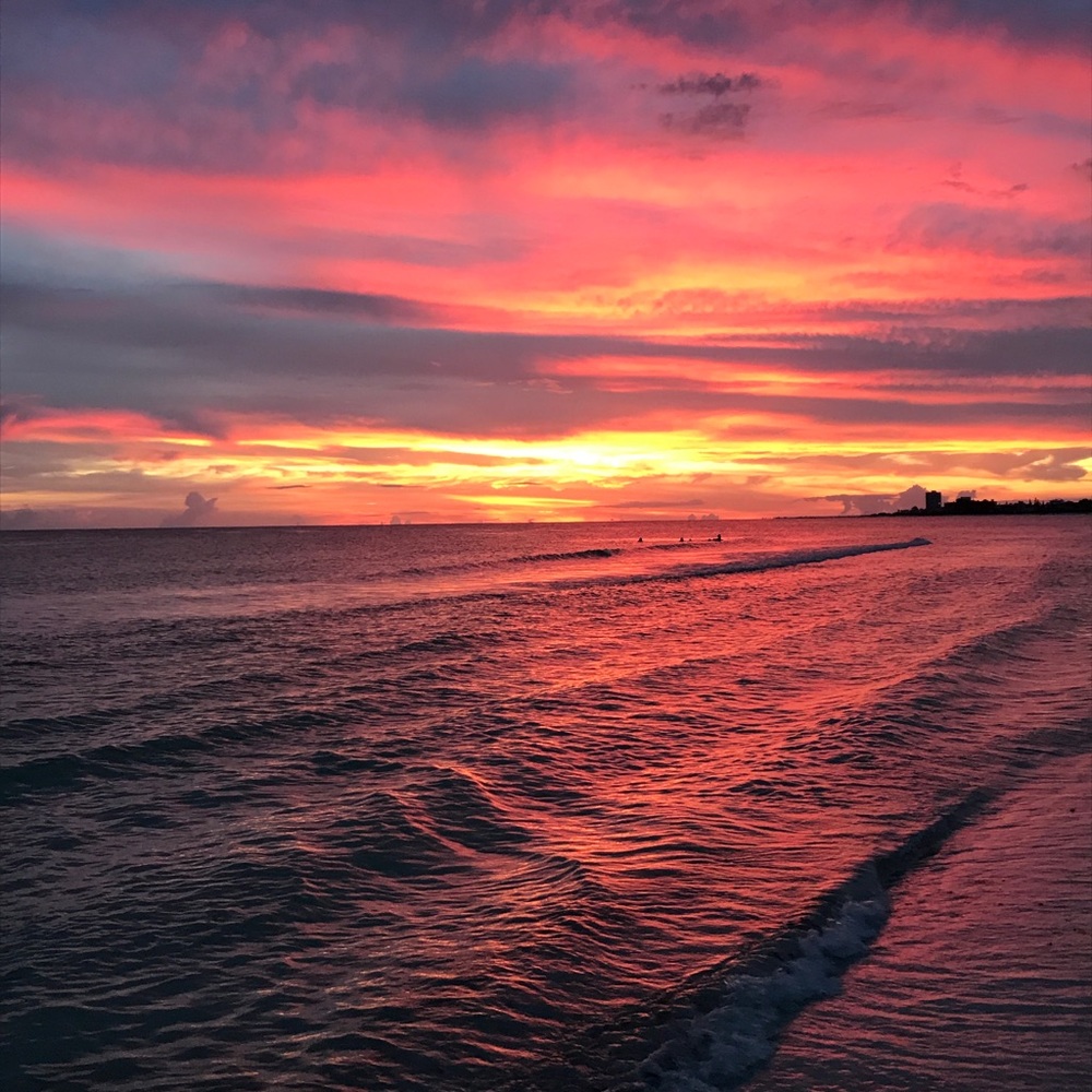 Meet your Posher, Devon